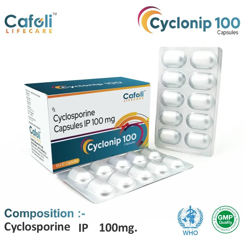 Cyclonip 100 Capsule for PCD Pharma Franchise
